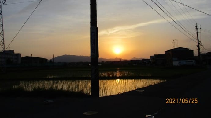 もうすぐですね　：　待ち遠しい　山本太郎　