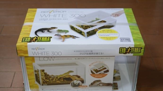 レプテリア ホワイト300 Law