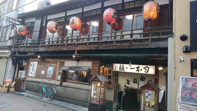 京極かねよ(京都市)の名物きんし丼はとてもオススメ!