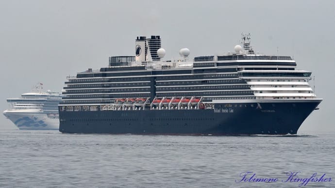 4/27の横浜港 ”WESTERDAM”、”DIAMOND PRINCESS”、”ROYAL PRINCESS”入港