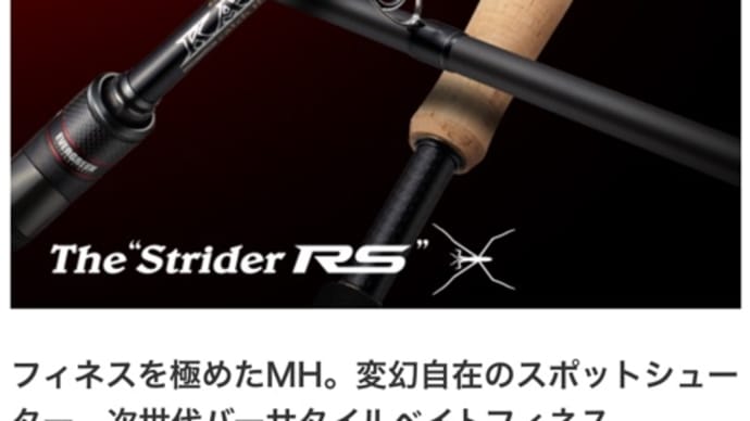 ストライダーRS (IRSC-67MHF-ST/SS)