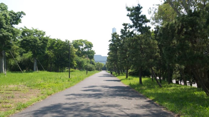 5月の夢の島公園:夢の島公園アーチェリー場から東京スポーツ文化館前へ PART2