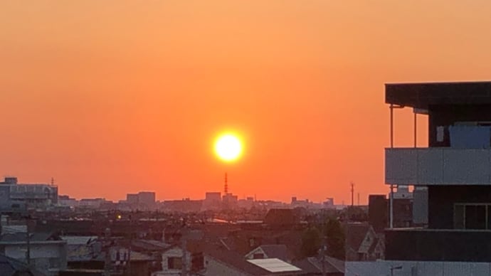 朝陽を見て決めた!