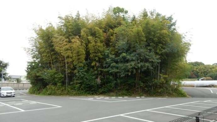 天理市北部の古墳をあるく⑨ ~別所鑵子塚古墳~
