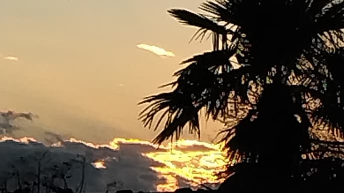 今日も夕焼けです。💕