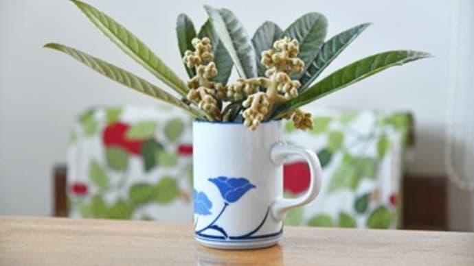 今年最後の大仕事〜枇杷の花の蕾