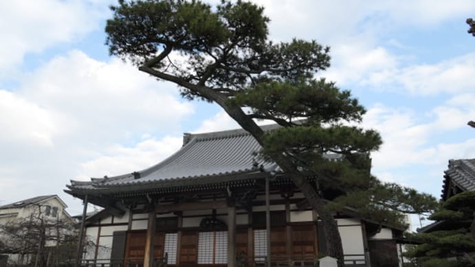 現光寺境内の見どころ紹介 on 2024-1-12
