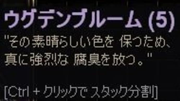 Grim Dawn日記 2025/2/3 Cabalist編 その4