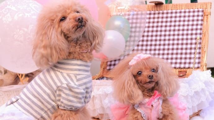 2ショット☆