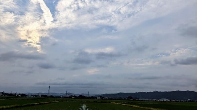 梅雨の候…( `ー´)ノ