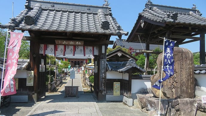 津山の牡丹寺・清限寺の牡丹