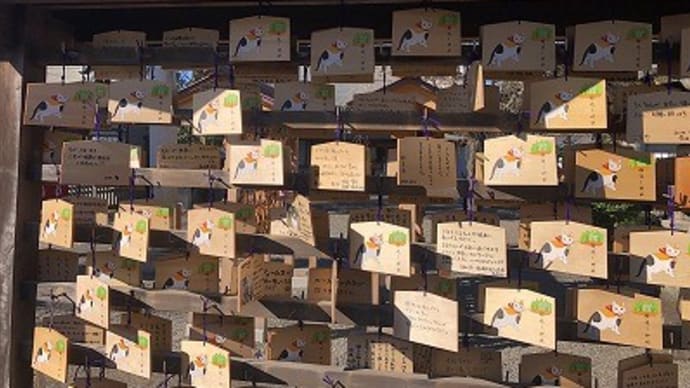 喪中と神社のお参り