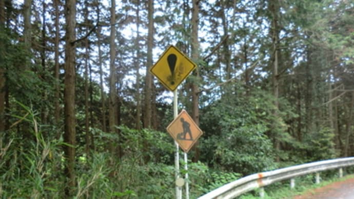 京都妖怪探訪（３０１）：東山ドライブウェイの謎標識