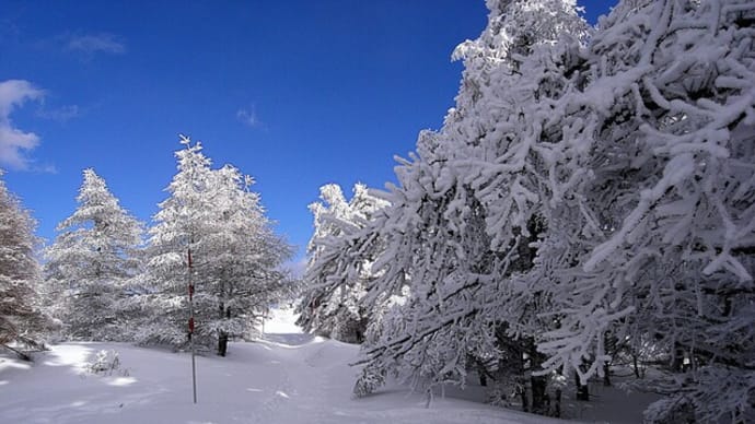 白銀の美ヶ原絶景Ⅷ樹氷の華