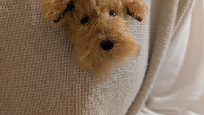 エアデールテリア バルサちゃんのブローチ