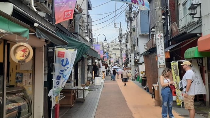 「ひゃっこい祭り」の谷中銀座