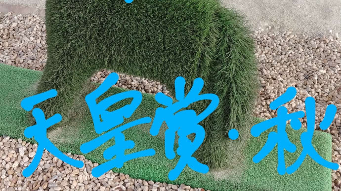 競馬G1 天皇賞・秋 自分なりの分析