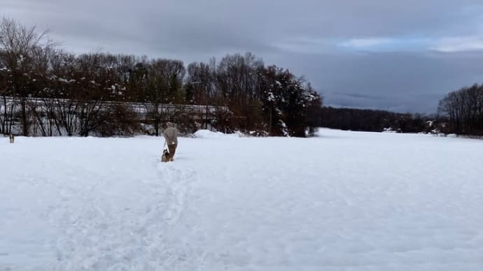 ４月の大雪❄️