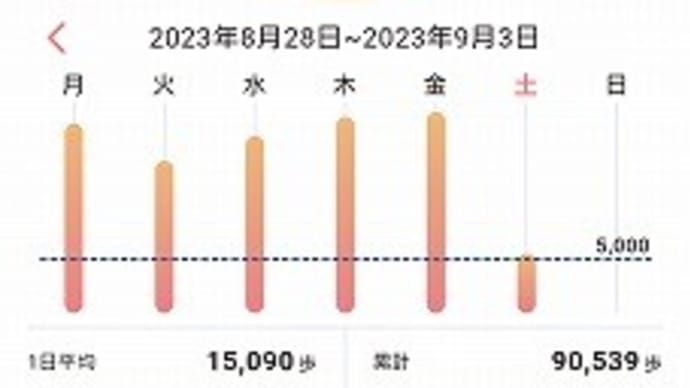歩いて行ったツキイチドンキーでいつもと違うのもやばくて永久凍土発掘しBGM遅れての必須科目履修拡充で晩はハム