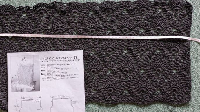 かぎ針ベスト 1