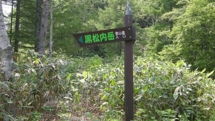 黒松内町の滝【ぶな滝】