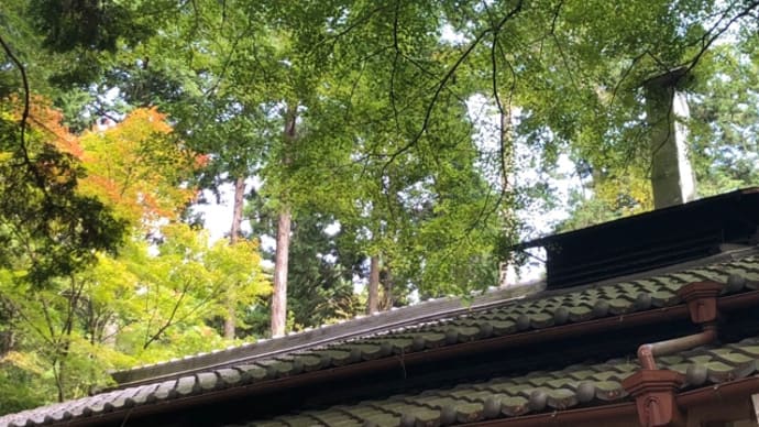 猿丸さん