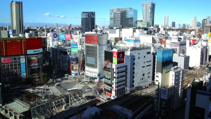 渋谷を眺望する