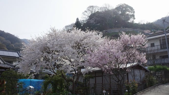 ペキン(東広島市黒瀬町)へ行きました。