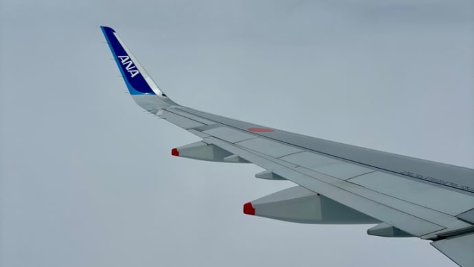 東京5日間