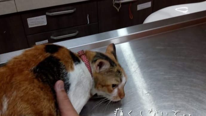 こんな事知らないのかと思う反面..