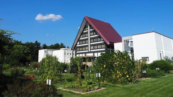 9月の薬草園