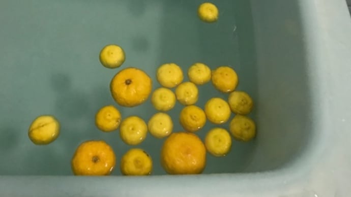 22日、柚子湯に入りました