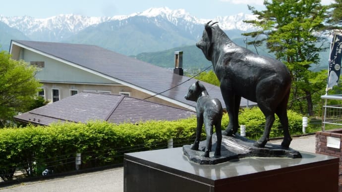 初夏の北安曇野・・・大町山岳博物館からアルプス風景