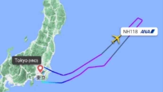 NH HNDSEA 乗客がCAにかみつき羽田に引き返す