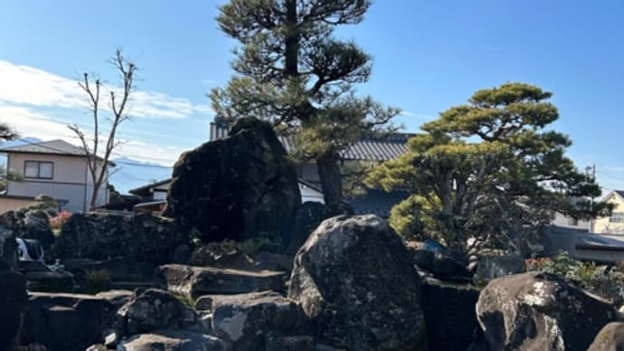 池ポチャ