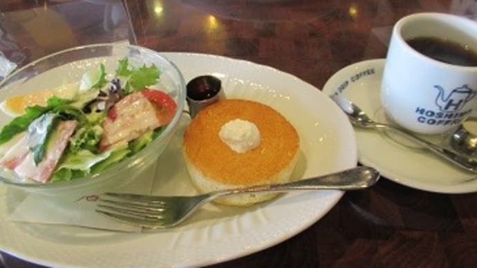 センダンの花 名前がわからない花 久しぶりのモーニング
