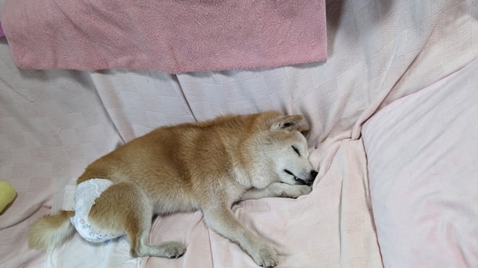クリンの背中に何が起きた?