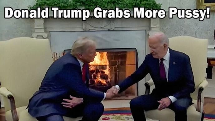Ah, Liberals And Democrats Are Political Pussies That Are Grabbed. 😀😃😄😁😆😅😂🤣😈🤡💩🇺🇸