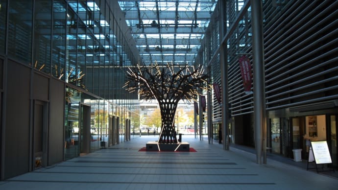 2024年12月 東京ミッドタウン八重洲敷地内に設置されているクリスマスツリー
