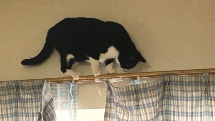 犯人はお前だったのか