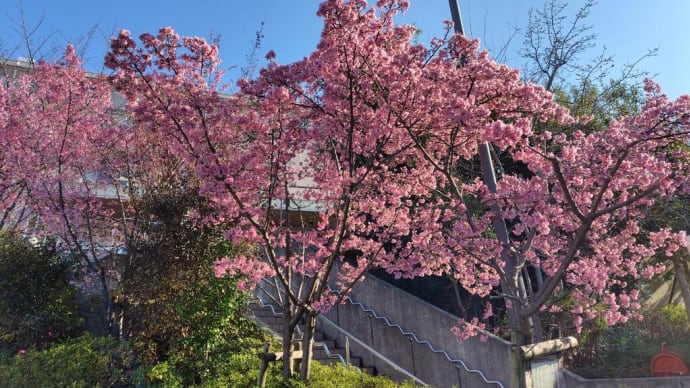 春のお彼岸