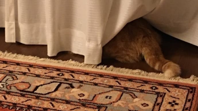 尻隠さず