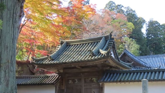 瑞巌寺(ずいがんじ) 御成門(おなりもん) 蕪懸魚(かぶらげぎょ)