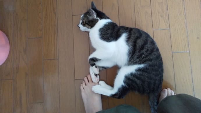 もともとゴールデンウィークなどない生活ですから