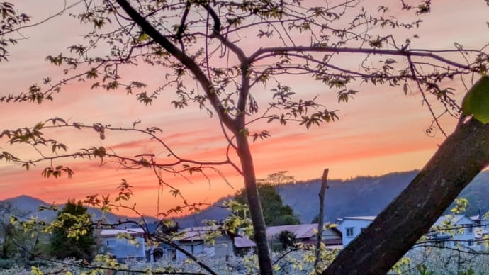 夕暮れ🌇