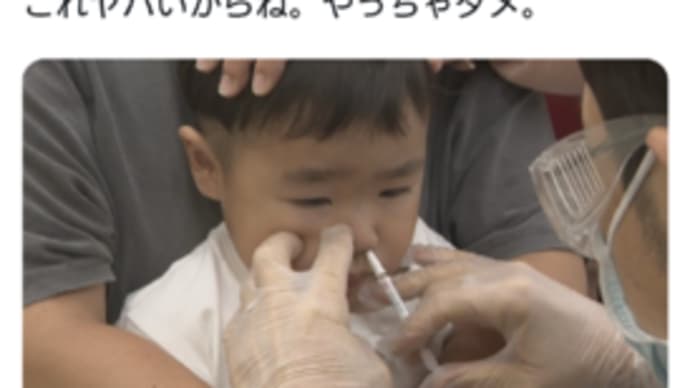 フルミスト（経鼻インフルワクチン）は、要注意かな・・・アメリカでは死者の報告があるそうな