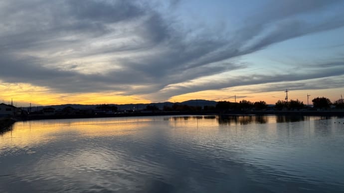夕方散歩