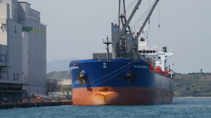 GLOVIS　MERMAID　バラ積み貨物船　 停泊作業中