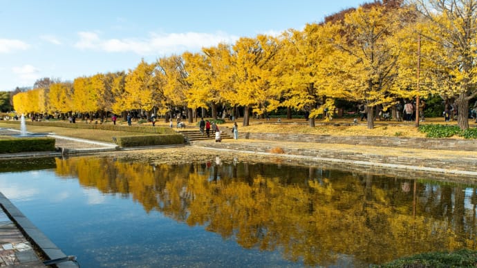 2023小雪 晩秋の立川・昭和記念公園の彩り