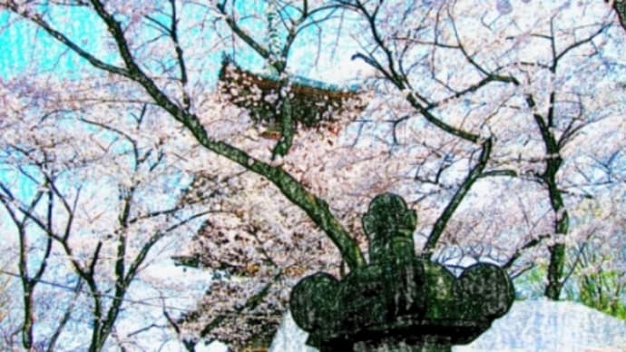 寛永寺五重塔と桜